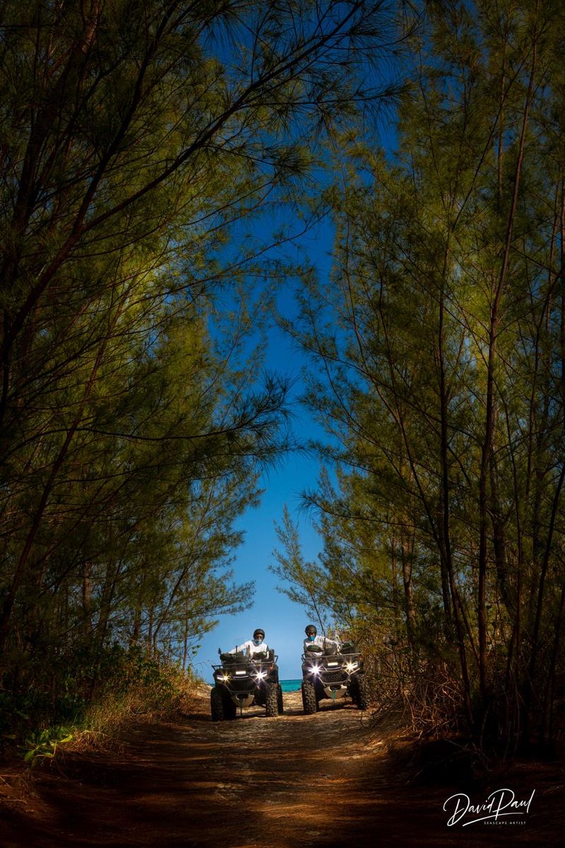 Two ATVs under a canopy of casuarina trees with the ocean ahead